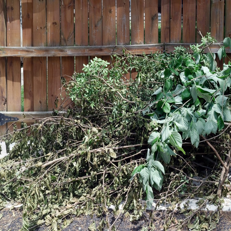 Landscape Maintenance in Sumter, SC